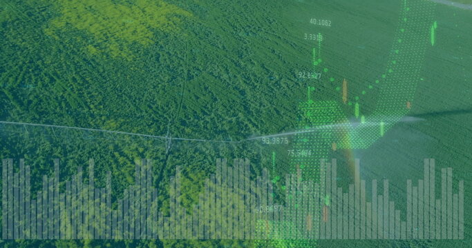 Showing dense forest canopy intersecting utility line from above with digital financial overlays