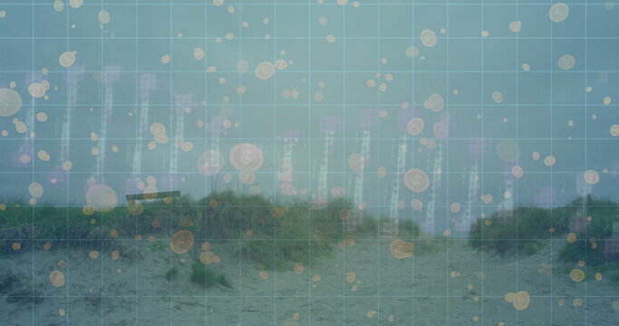 Dune pathway winding through grass clumps on beach, with grid overlay, currency circles, data bars - Powered by Adobe