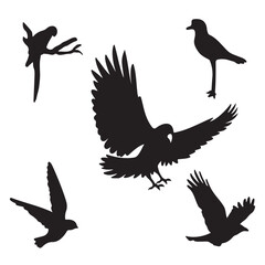 set of silhouettes of birds