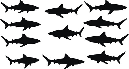 Black shark silhouettes set, various swimming shark shapes isolated on white background, vector marine predators, ocean wildlife, sea creatures collection for design