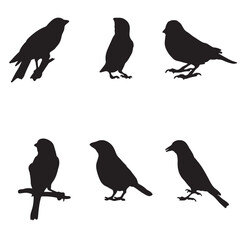 Set of silhouettes of canaries vector design, isolated white background