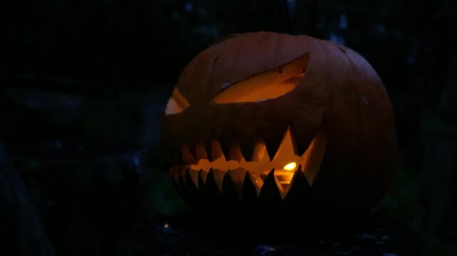 Close up footage orbiting around a orange jack o lantern Halloween pumpking with a scary face carved into it and orange yellow flames burning inside, while in front of a dark night forest area.