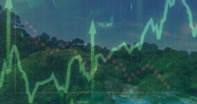 Displaying green line chart over coastal forest shore, with upward arrows and data labels