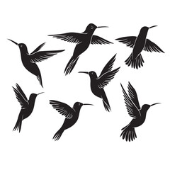 hand drawns silhouette of hummingbird. vector illustration