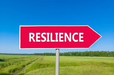Resilience symbol. Concept word Resilience on beautiful red road sign. Beautiful blue sky green...