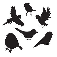 Obraz premium Set of birds silhouettes. Vector illustration. Black and white