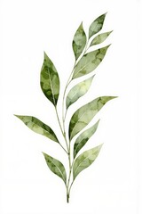 Fototapeta premium a watercolor painting of green leaves