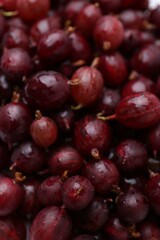 Fresh ripe red gooseberries as background, closeup