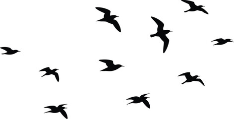 Flock of flying birds, black silhouettes on white background, vector illustration, nature, wildlife, freedom, animal flight, sky, isolated birds, flying motion concept