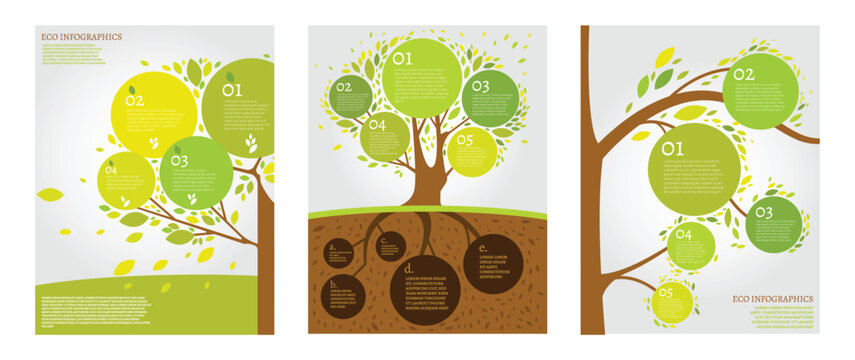 Beautiful bio infographics with trees and branches.