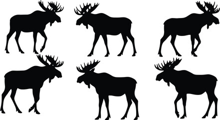 Moose silhouette vector illustration, set of six poses in walking and standing positions, isolated animal wildlife clipart for outdoor, hunting, forest design themes.