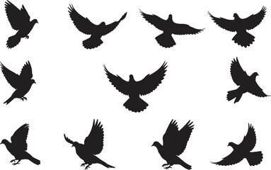Flying bird silhouettes collection, black vector pigeons in different poses, perfect for wildlife themes, freedom concepts, nature backgrounds, and minimalist design projects