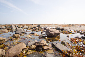 Rocky beach at Seahouses, Northumberland, UK