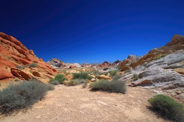 Fototapeta premium Vibrant Desert Landscape with Colorful Rock Formations and Clear Blue Sky
