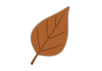 A stylized illustration of a single autumn leaf against a dark backdrop, showcasing intricate details and warm hues.