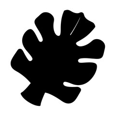 Silhouette of a tropical monstera leaf against a solid white background