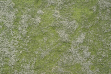 Close up aerial view of a patchy green and brown textured ground surface