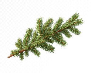 Obraz premium Watercolor fir tree branch with dark green needles and snowy winter charm, perfect for holiday decor, rustic crafts, and seasonal illustrations. Vector illustration.