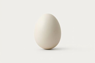 Single white egg, studio shot, plain background, food photography