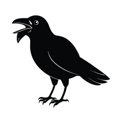 Obraz premium silhouette of a crow laughing while stealing food .