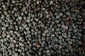 Fresh ripe blueberries piled together at the market. Organic berries rich in antioxidants, used in desserts and healthy meals