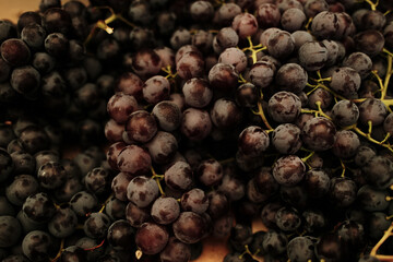 Fresh dark grapes with stems at the local market. Organic seasonal fruit used for eating, winemaking, or juice production