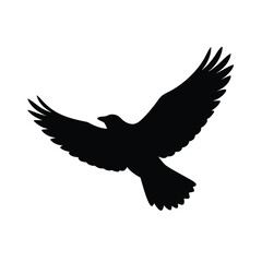 Obraz premium silhouette of a flying bird on white background