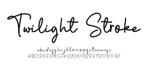 Twilight Stroke, signature Font Calligraphy Logotype Script Brush Font Type Font lettering handwritten

