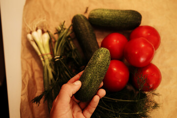 Hand holding a fresh green cucumber above tomatoes and herbs. Organic seasonal vegetable from local farm market