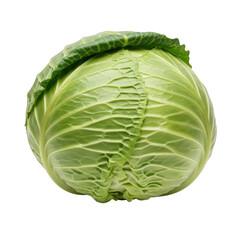 Fototapeta premium Green cabbage