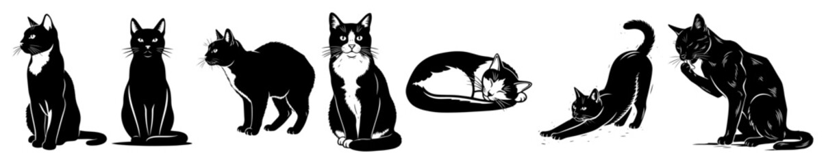 Cat Poses Vector - Assorted Cat Silhouettes © Luka
