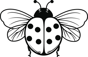  Ladybug illustration, bold line art, round body with dots and wings, playful minimal doodle style, black and white vector 3