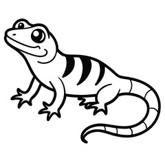 lizard on white background