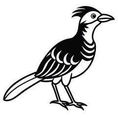 exotic birds vector icons.eps