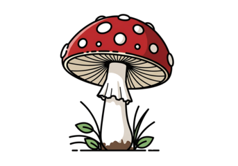 A vibrant, cartoon-style illustration of a fly agaric mushroom, featuring a bright red cap dotted with white circles, a white stem, and small green leaves at the base, set against a stark black...