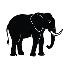 Fototapeta premium silhouette of an elephant on white background