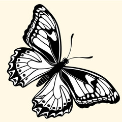 Realistic Butterfly Vector Illustration