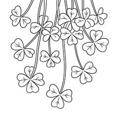 Hand drawn outline of a bunch of lucky shamrocks hanging down