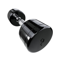 Round Chrome Dumbbell with number 9, weightlifting gym equipment wide angle view, isolated on white background. 3D illustration