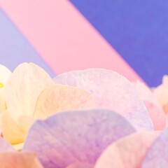 Soft pastel flower petals