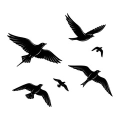 set of silhouettes of birds