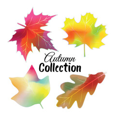 A set of colorful watercolor autumn leaves illustration. Bright seasonal foliage design perfect for greeting cards, posters, invitations, prints, and fall decorations.