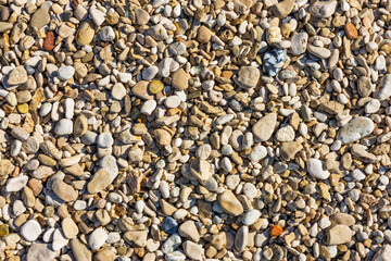 Sea pebbles and stones close-up