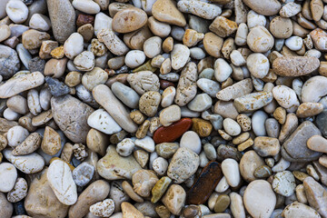 Sea pebbles and stones close-up