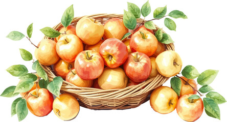 Watercolor vector illustration of a basket full of apples.
