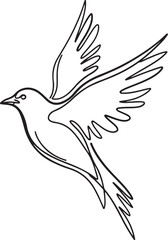a bird line art