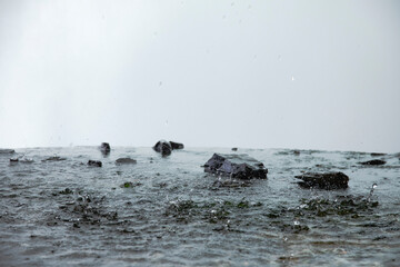 Water