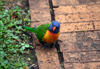 Fototapete bei efototapeten.de bestellen   