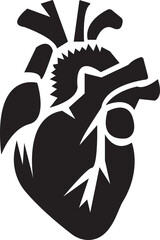 Anatomical Heart Icon,Human Heart,Cardiac Muscle Line and Silhouette Color Icon Set. Medical Cardiology Pictogram.Collection on White Background.Real human heart organ icon.medical icon