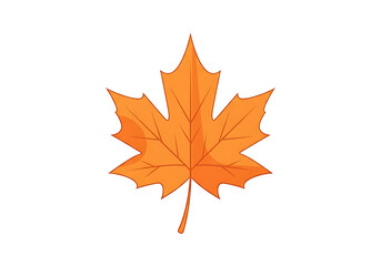 Fototapeta premium A vibrant autumnal maple leaf stands out against a bold black background.